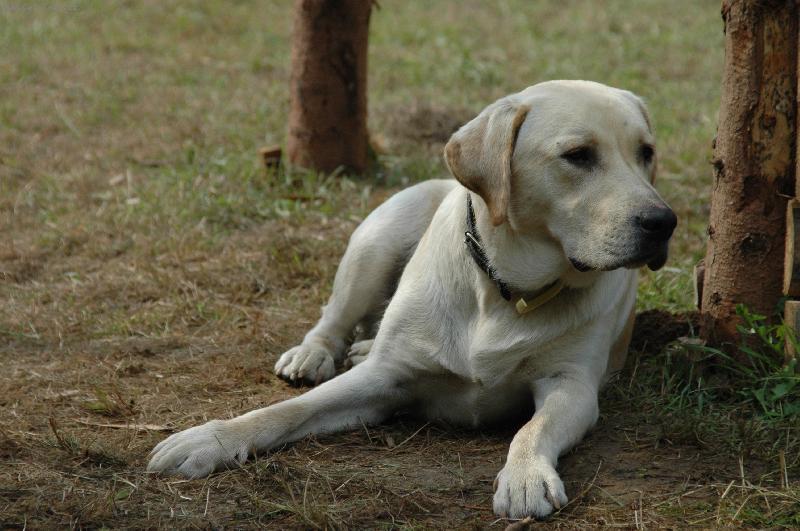 Foto: Rocky-j���