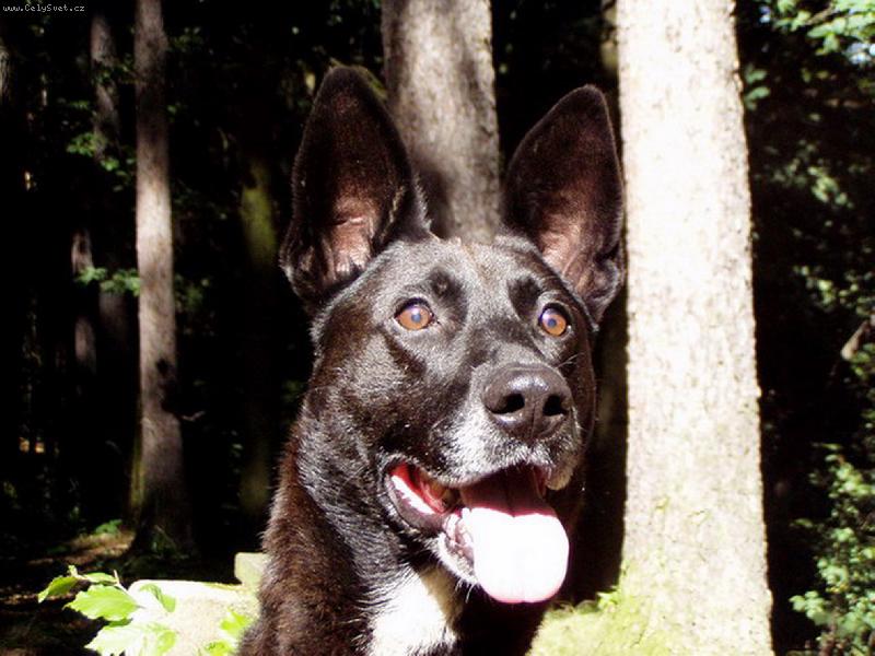 Foto: Foto na ob�anku