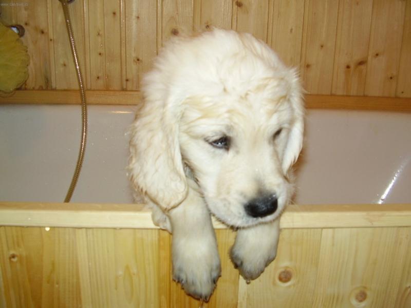 Foto: Jdu se koupat tak nerusit...