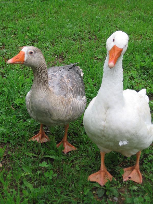 Foto: ..tomu nerozum�m....