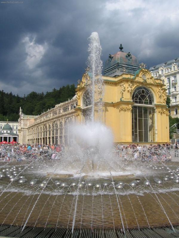 Foto: Modr� slune�n�k