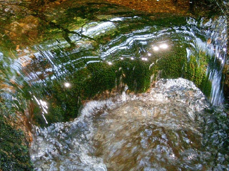 Foto: Pot��ek Bublav�