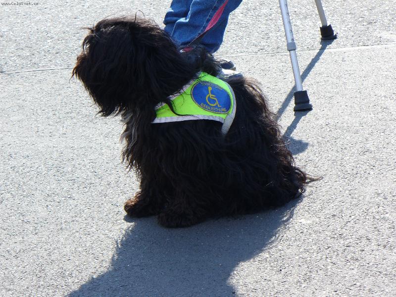 Foto: Nezn�m� pomocn�k