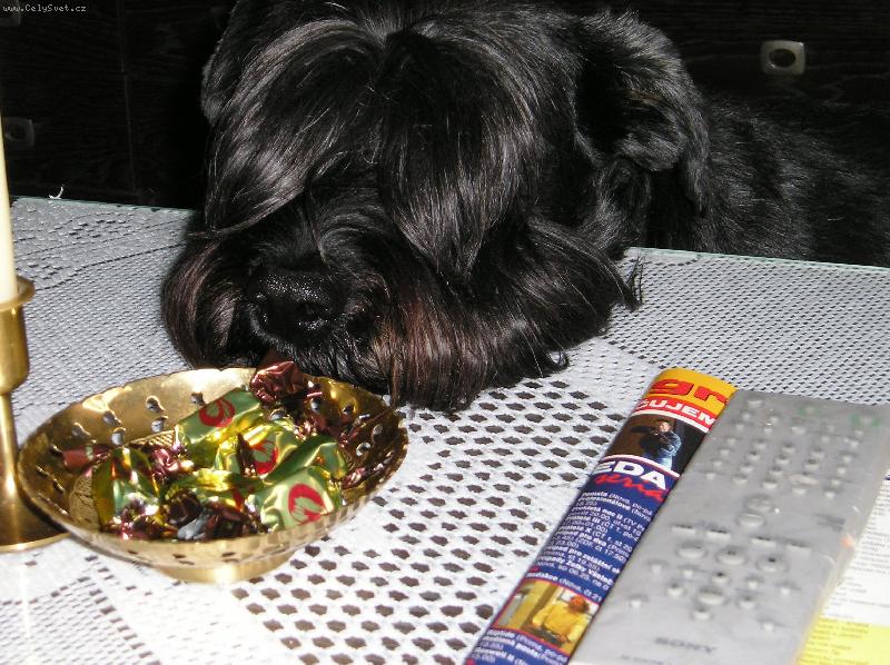 Foto: M�am, toto ale von�