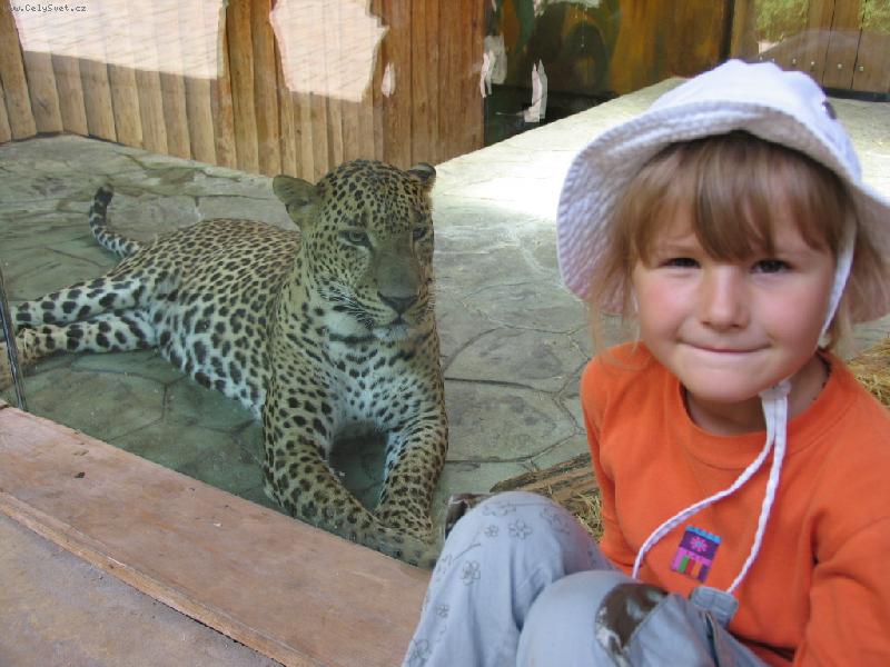 Foto: Kousne nebo ne?