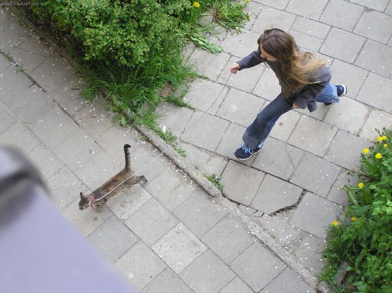 Foto: Ven�en�........