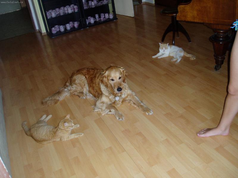 Foto: a co budeme d�lat te�??