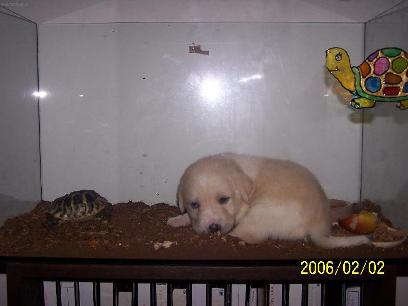 Foto: Tohle ale nen� m�ma...