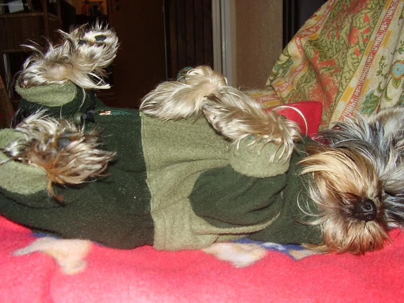 Foto: Roz�rka-poloha 