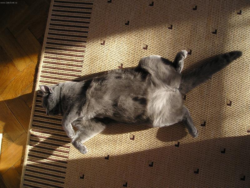 Foto: Unaven�,ale spokojen�.