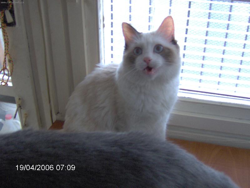 Foto: Meg� zp�v�