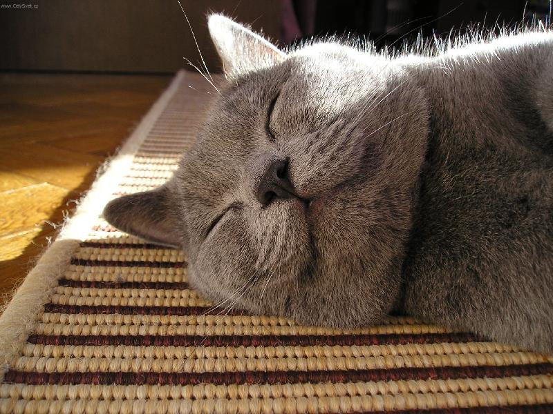 Foto: �ek�m na prince a� m� pol�b�,ale zat�m si zd��mnu.