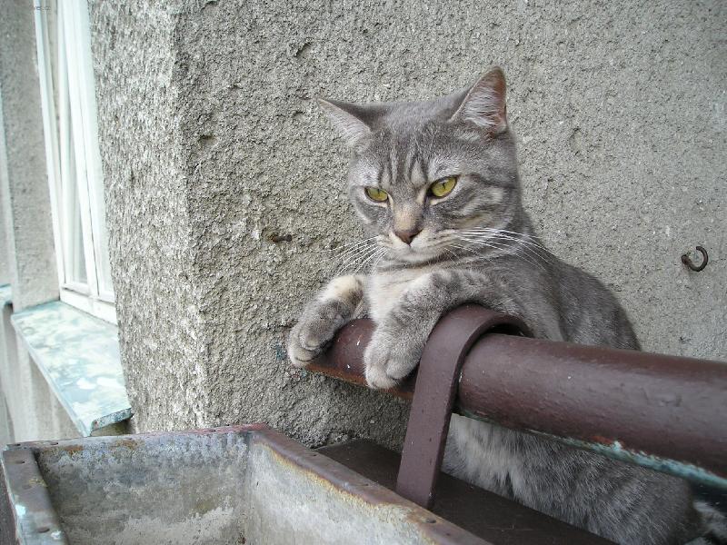 Foto: To je posezen��ko.