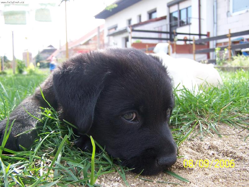 Foto: zlat��koooo