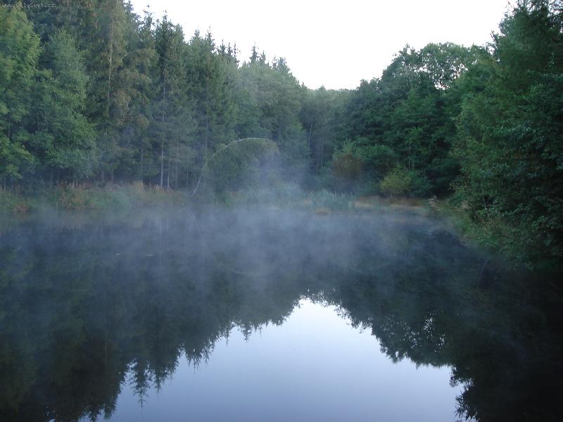 Foto: Lesn� jez�rko