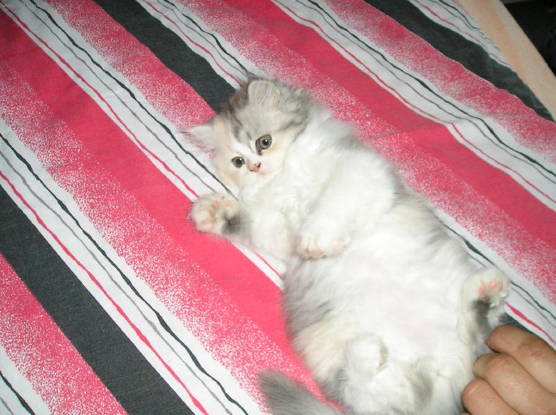 Foto: M�enka-N� mazl��ek