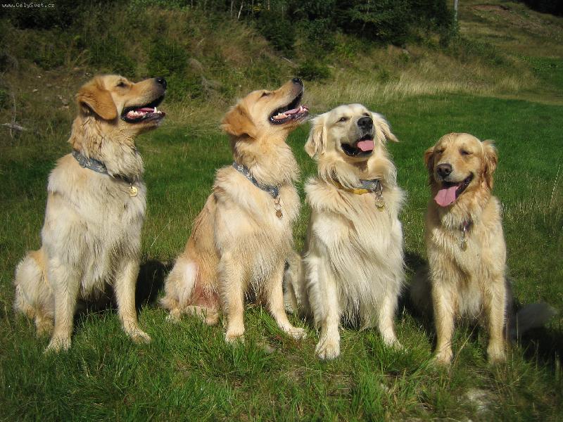 Foto: rodinka-rodinka pohromade :o))