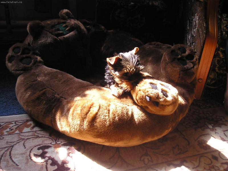 Foto: zizi haj�....