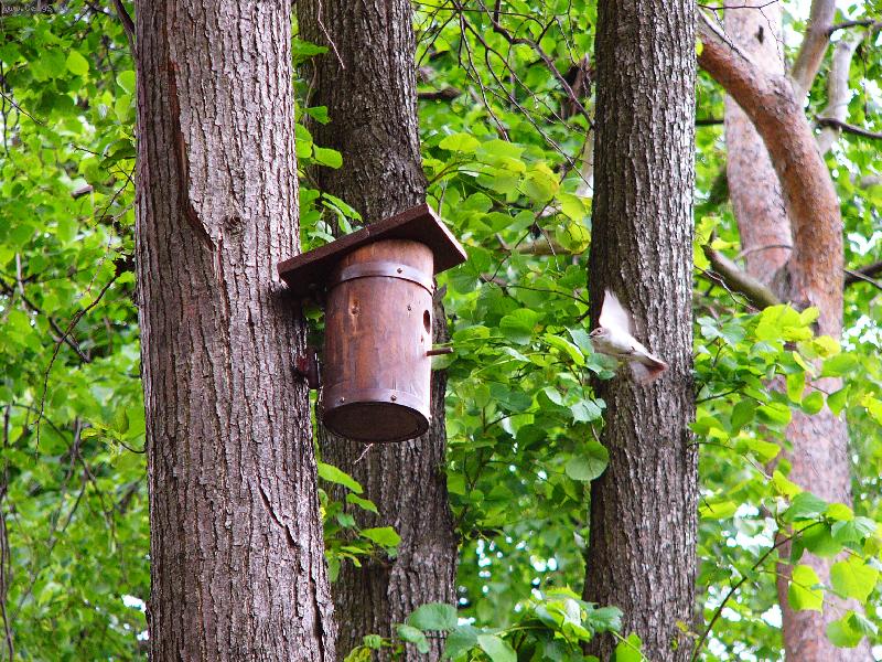 Foto: n�vrat-omlouv�m se,nevim jakou jsem poslal fotku. K n�zvu n�vrat pat�� tato.D�kuji.        o