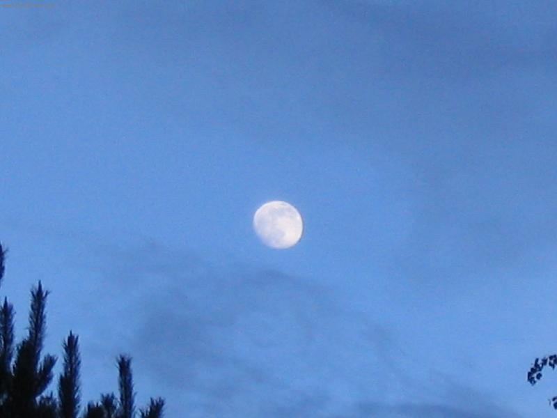 Foto: M�S�C-BLED� A KR�SN�