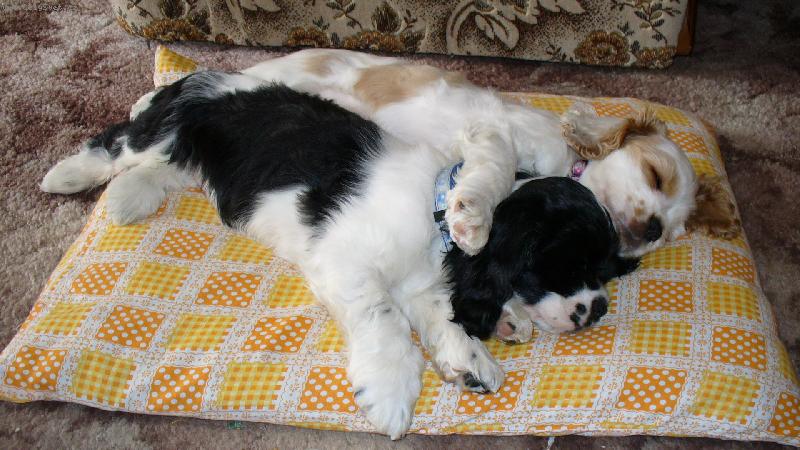 Foto: sest�i�ky-ve dvou se i l�pe spink�...