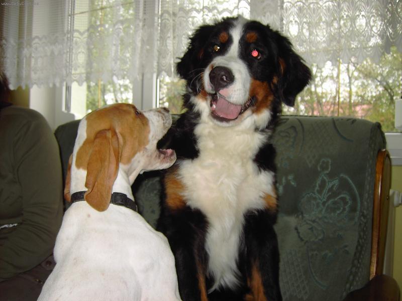 Foto: Se�ral jsem Karkulku a te� si na �a�e ty !-Max a Artur