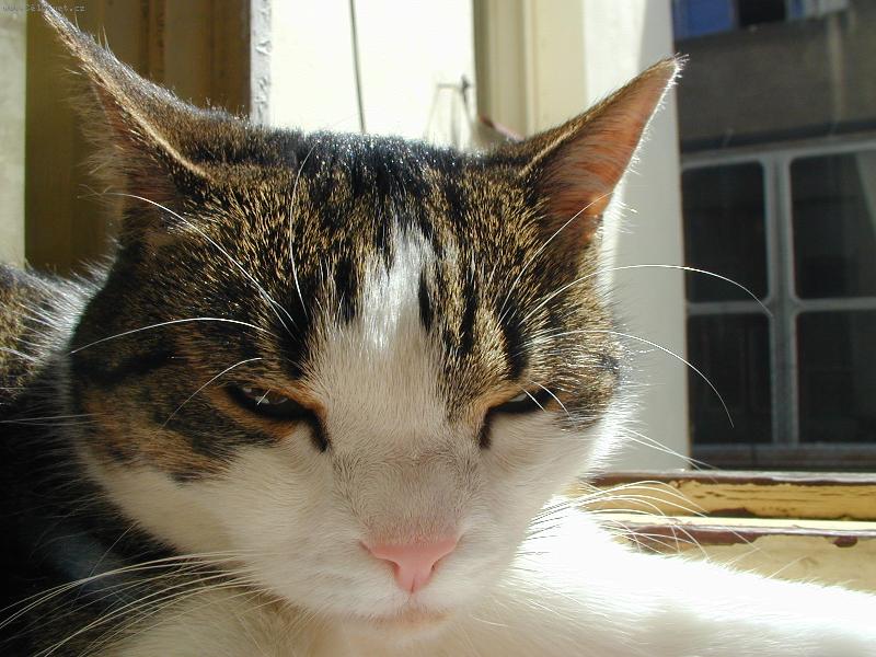 Foto: vrah K�j�nek =)