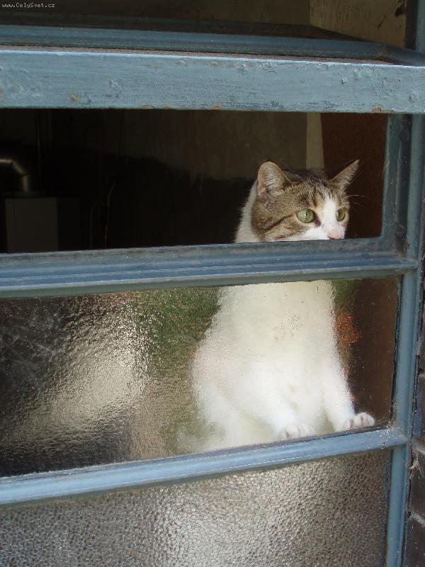 Foto: M�ca-U� je �ist� vzduch?