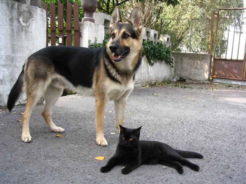 Foto: Hl�da�i-...ve dvou se to t�hne(hl�d�) l�pe