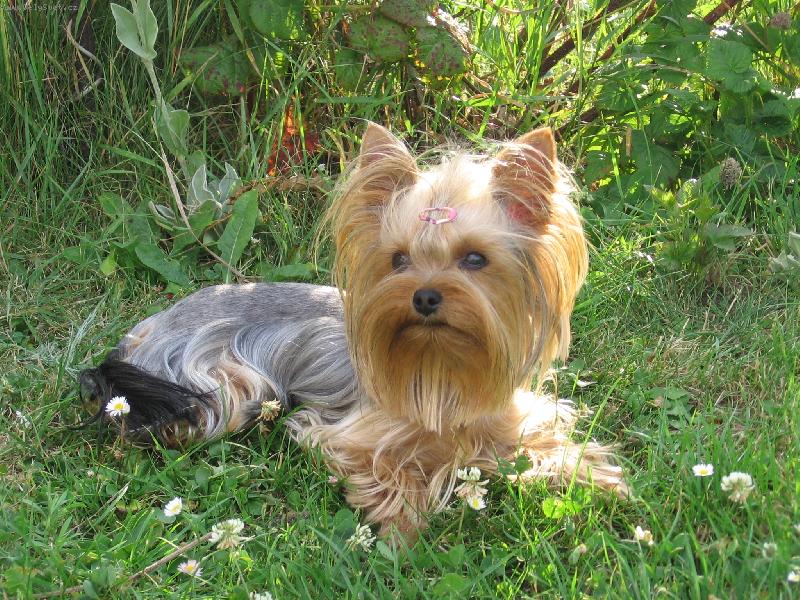 Foto: Baru�ka-Odpoledn� siesta