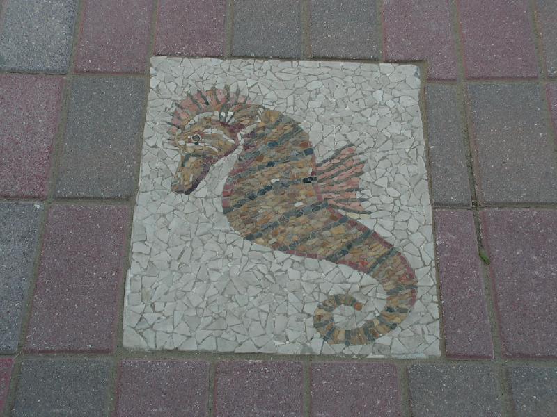 Foto: Morsky konik-Misano