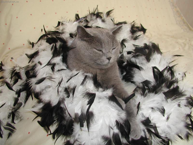 Foto: Kl�rka-Na�e mal� modelka