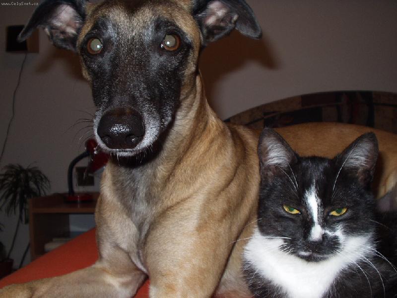 Foto: Kamar�di-Ar�� s Les�kem