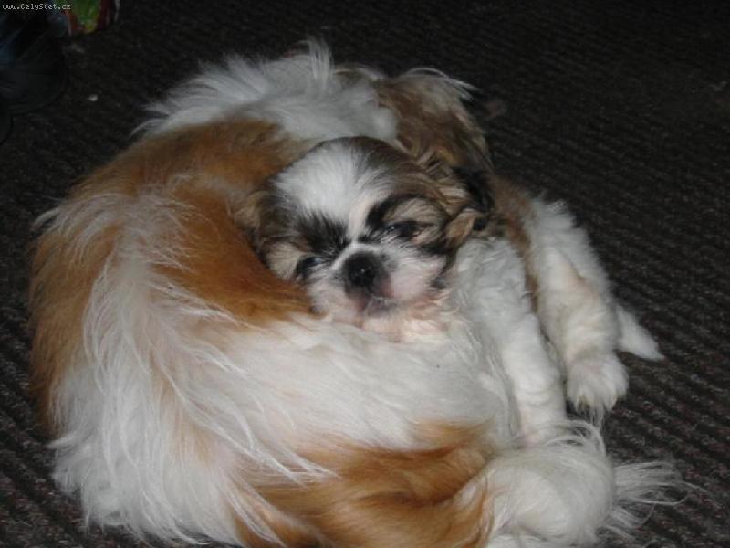 Foto: Lucky-U maminky je nejl�pe