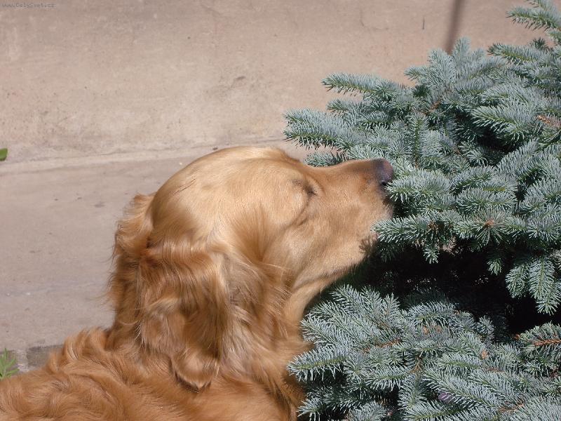 Foto: P�kn� prot�hnou