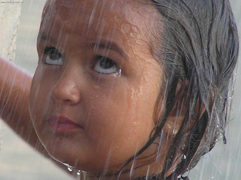 Foto: hol�i�ka Lulu-letn� d隝