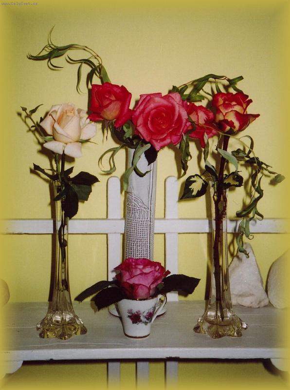 Foto: Z�ti�� s r��emi