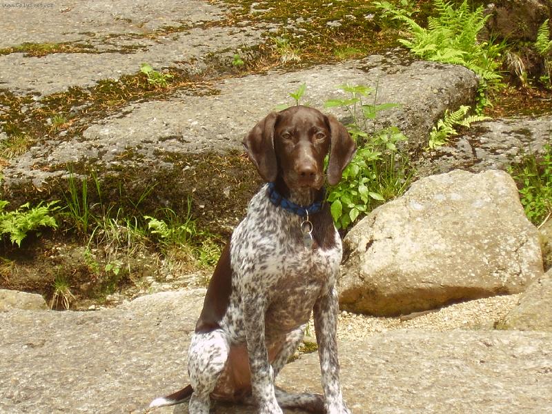 Foto: Afra-Tak toto jsem j�:-D