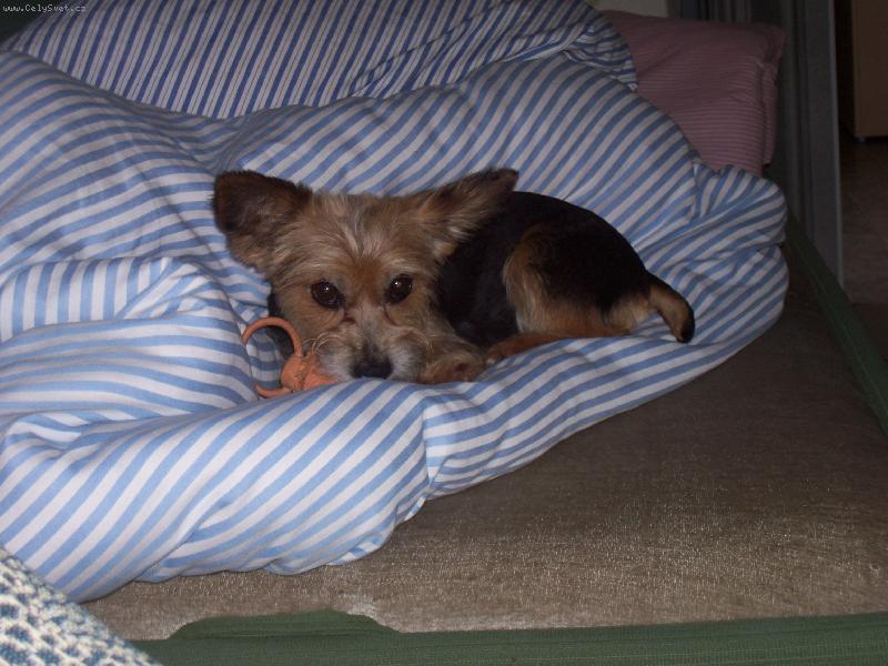 Foto: Sany-S dudl�kem v pe�in�ch....