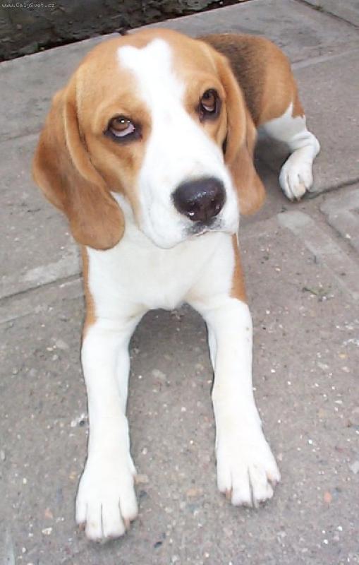 Foto: Kr�sn� pohled Avitky