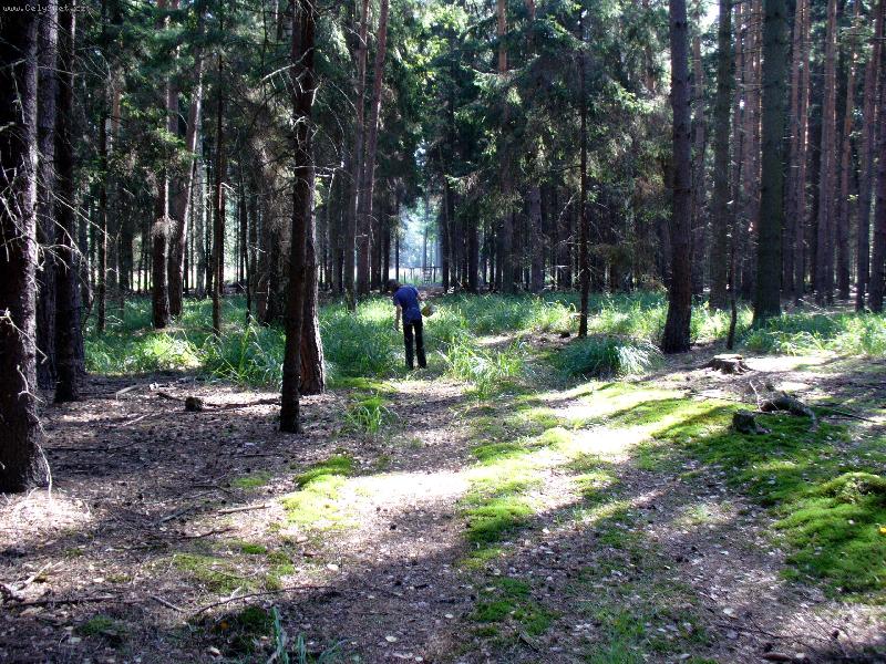 Foto: Hled�n� ve�e�e-Kdo hled�, ten najde n�jakou tu houbi�ku