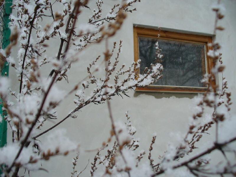 Foto: Zimn� n�lada-Zasn�en� v�tv�