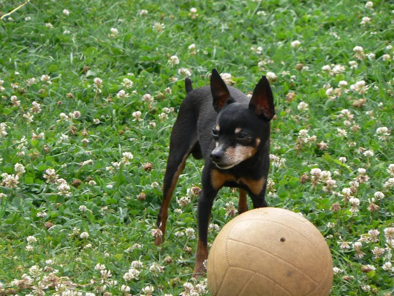 Foto: domi�ek-kdo mi ten m�� jen sem hodil?