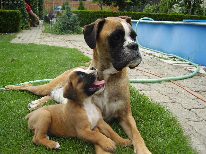 Foto: Betynka a Buf��ek-M�m t� r�d mami...