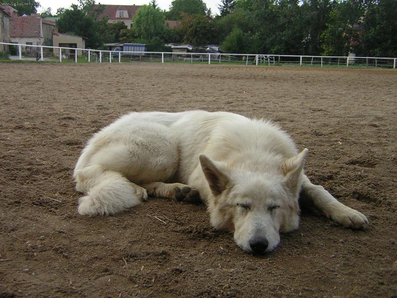 Foto: Baico-Pros�m nebudit!