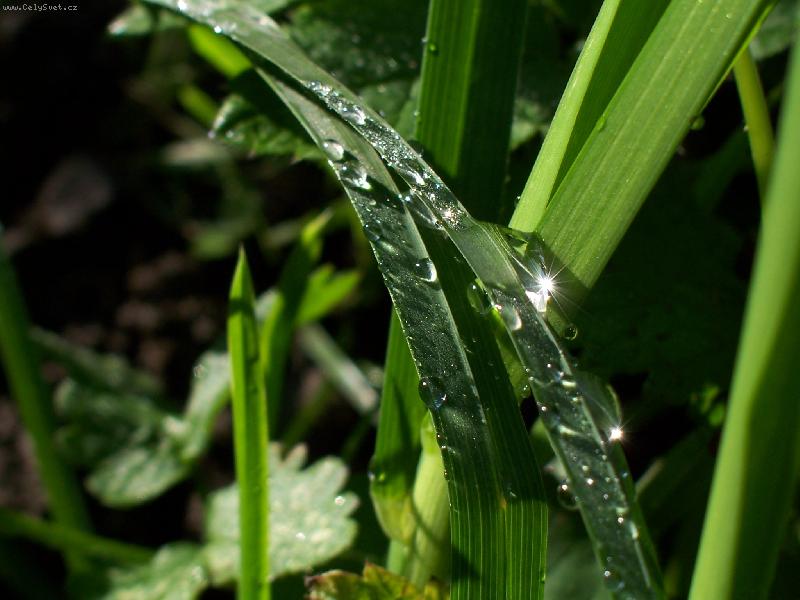 Foto: Po de�ti-...