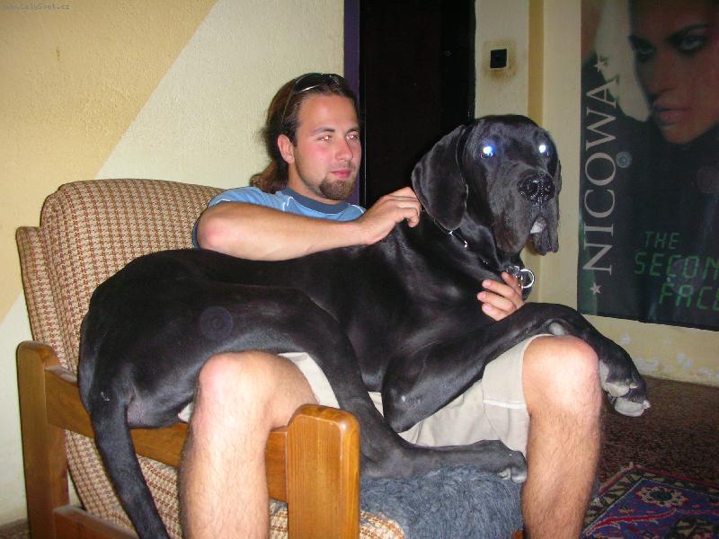 Foto: Pochovej ...-Bastien