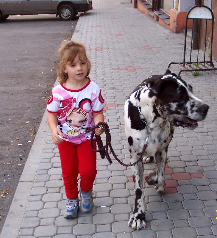 Foto: Na proch�zce