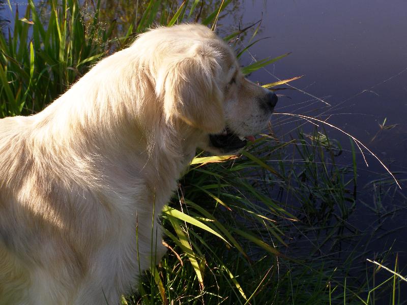 Foto: Dag u jez�rka