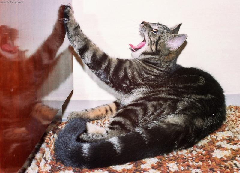 Foto: Bobina-"To jsem se p�kn� prot�hla"